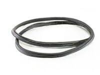 OEM Mercury Weatherstrip On Body - 8W7Z-5420708-A