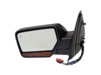 OEM Ford Expedition Mirror Assembly - FL1Z-17683-CAPTM
