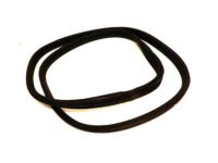 OEM Ford Taurus Weatherstrip - 1F1Z-5443720-AA