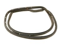 OEM Mercury Marauder Weatherstrip - XW7Z-5425324-AA