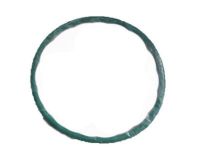 OEM Ford Flex Module O-Ring - 4L3Z-9276-AA