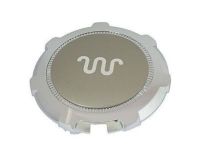 OEM 2012 Ford F-150 Wheel Cap - 9L3Z-1130-D