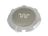 OEM 2013 Ford F-150 Wheel Cap - 9L3Z-1130-D