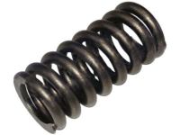 OEM Ford Excursion Valve Springs - 3C3Z-6513-AA