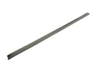 OEM 2004 Ford F-250 Super Duty Body Side Molding - 5C3Z-2820878-AAG
