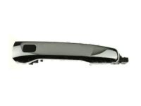 OEM 2018 Ford Police Interceptor Utility Handle, Outside - BB5Z-7822404-CA