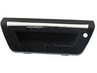 OEM Ford Handle - FL3Z-9943400-EAPTM