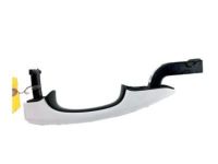 OEM 2013 Ford Fusion Handle, Outside - DS7Z-5422405-AAPTM