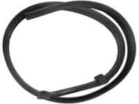 OEM Lincoln Weatherstrip - 5L3Z-1651223-AA