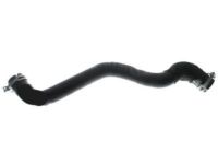 OEM Ford Focus Upper Hose - CV6Z-8260-K