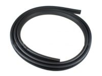 OEM Weatherstrip On Body - 3C3Z-2520708-AA