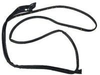 OEM 2018 Ford Explorer Door Weatherstrip - BB5Z-7820530-A