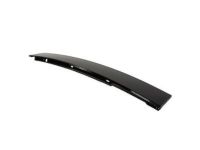 OEM 2005 Mercury Mountaineer Upper Molding - 1L2Z-7820555-AAA