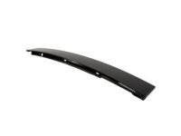 OEM 2003 Mercury Mountaineer Upper Molding - 1L2Z-7820555-AAA