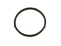 OEM Mercury Thermostat Housing O-Ring - -W701379-S300