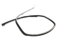 OEM Ford Run Channel - DC3Z-2625766-A