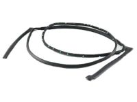 OEM 2015 Ford Flex Door Weatherstrip - AA8Z-7425324-B