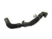 OEM 2019 Ford Fusion Lower Hose - HP5Z-8286-A