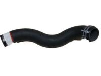 OEM Ford Excursion Upper Hose - 3C3Z-8260-AG