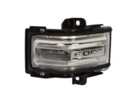 OEM Ford F-150 Signal Lamp - FL3Z-13B375-CA