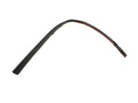 OEM Ford Ranger Upper Weatherstrip - 8L5Z-1051222-A