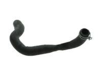 OEM Ford Fiesta Lower Hose - C1BZ-8286-A