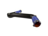 OEM 2020 Ford F-150 Upper Hose - JL3Z-6C646-B