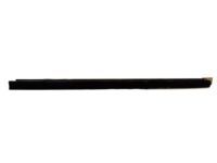 OEM Ford Ranger Belt Weatherstrip - 8L5Z-1021457-A