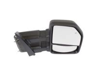 OEM 2016 Ford F-150 Mirror - FL3Z-17682-AD