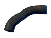 OEM Ford F-350 Lower Hose - F1TZ-8286-E