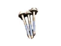 OEM Lincoln Catalytic Converter Screw - -W709736-S439