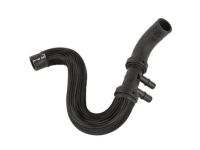 OEM 2019 Ford Mustang Lower Hose - FR3Z-8286-H