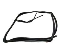 OEM 2020 Ford Transit-250 Window Channel - CK4Z-6121596-E
