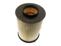 OEM 2015 Ford Transit Connect Filter Element - CV6Z-9601-A