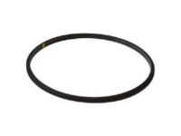 OEM 2000 Ford Excursion Thermostat Seal - F81Z-8255-AA