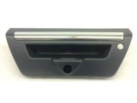 OEM 2020 Ford F-150 Handle - JL3Z-9943400-MAPTM