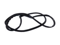 OEM Ford Fiesta Door Weatherstrip - CE8Z-5420530-C