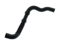 OEM 2016 Ford Explorer Lower Hose - BB5Z-8286-N