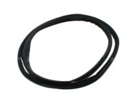 OEM Lincoln Weatherstrip - 6L1Z-7820708-A