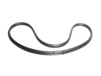 OEM Mercury Monterey Weatherstrip - XF2Z-1629904-AA