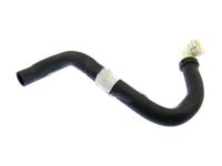 OEM 2019 Ford F-150 Lower Hose - JL3Z-8286-A