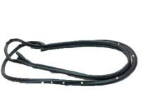 OEM 2008 Ford Taurus Door Weatherstrip - 8G1Z-5420530-A