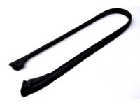 OEM 1999 Mercury Sable Upper Seal - F6DZ-5420557-BC