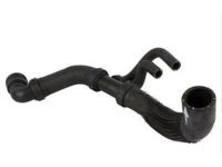 OEM 2010 Ford F-150 Lower Hose - AL3Z-8286-C