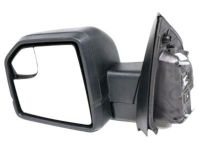 OEM Ford F-150 Mirror Assembly - JL3Z-17683-CA