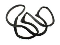 OEM 1999 Ford E-150 Econoline Club Wagon Weatherstrip - F3UZ-1543722-A