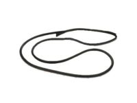 OEM 2004 Ford E-350 Super Duty Weatherstrip - 4C2Z-1520531-AA