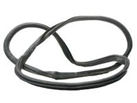 OEM 2017 Ford F-150 Weatherstrip On Body - FL3Z-1520709-A