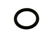 OEM Ford Lower Return Line O-Ring - -N808209-S