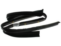 OEM 2017 Ford F-150 Lower Weatherstrip - FL3Z-1620758-B